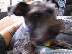 Mimi 7.JPG Mimi 7.JPG